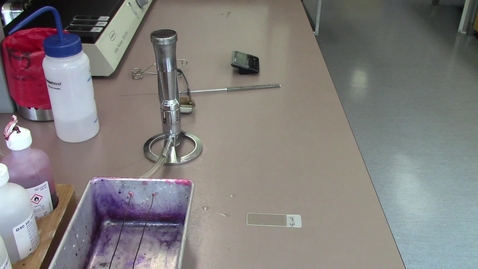 Thumbnail for entry Video 10 - Preparing a gram stain