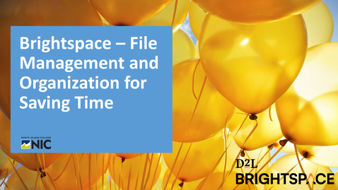 Thumbnail for entry Brightspace - File Management and Organization