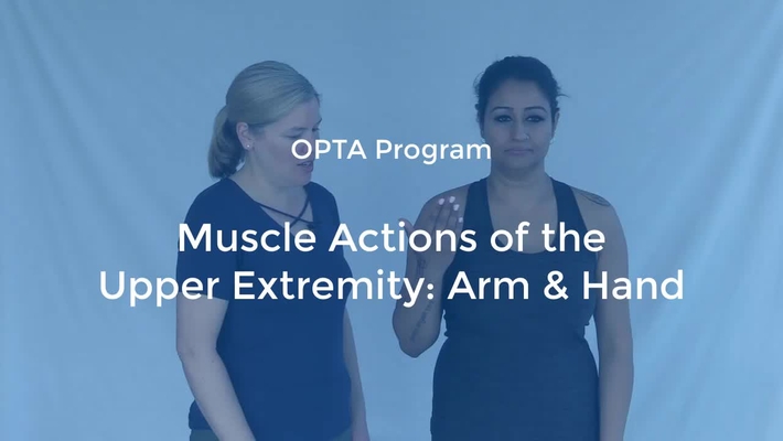 OPTA-07: Muscle Actions of the Upper Extremity-Arm-Hand