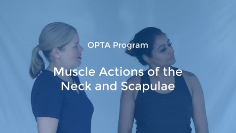 Thumbnail for entry OPTA-05: Muscle Actions of the Neck and Scapula