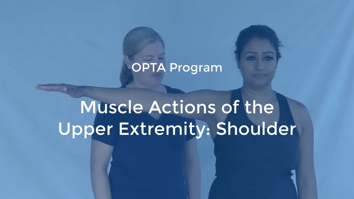 OPTA-06: Muscle Actions of the Upper Extremity-Shoulder
