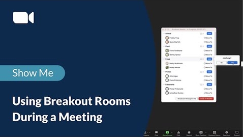 Thumbnail for entry Using Breakout Rooms During a Meeting