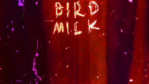 Thumbnail for entry Bird Milk | Trailer