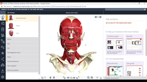 Thumbnail for entry Anatomy.tv Database Overview