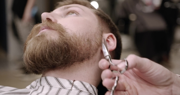 Thumbnail for the embedded element &quot;Using Shears to Trim the Side of a Beard&quot;