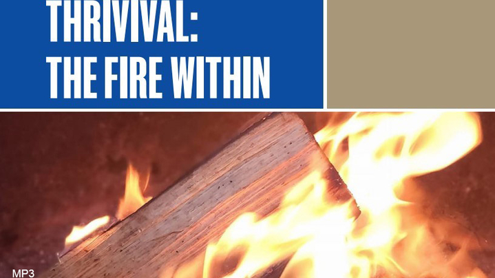 Thumbnail for channel Thrivival: The Fire Within